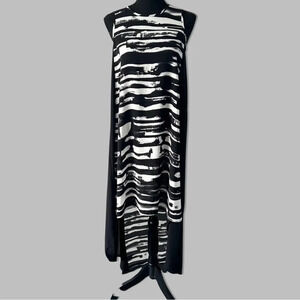 Philosophy  Sleeveless High Low Chiffon Dress